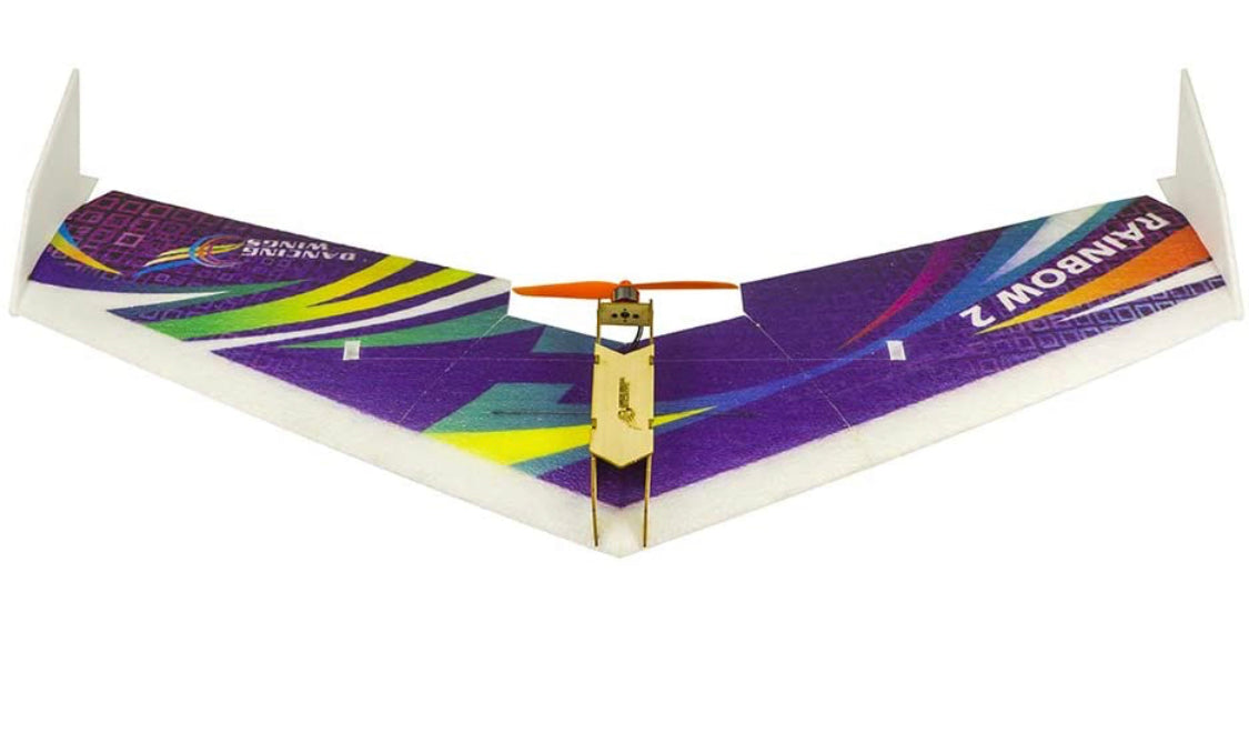 Dancing Wings Hobby E0604 RC Airplane 3CH Radio Remote Controlled with Electronics
